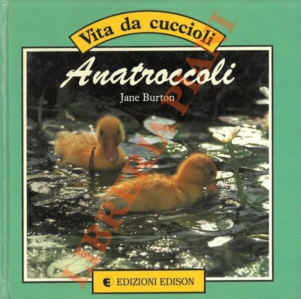 Anatroccoli.