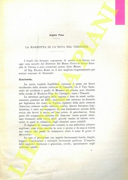 La Marmotta di Ca' Nova nel veronese.