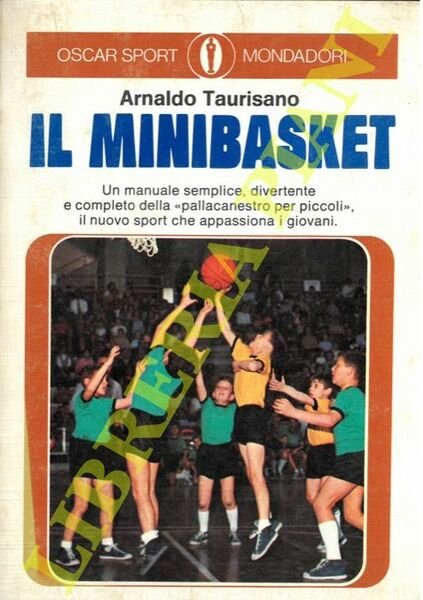 Il minibasket.