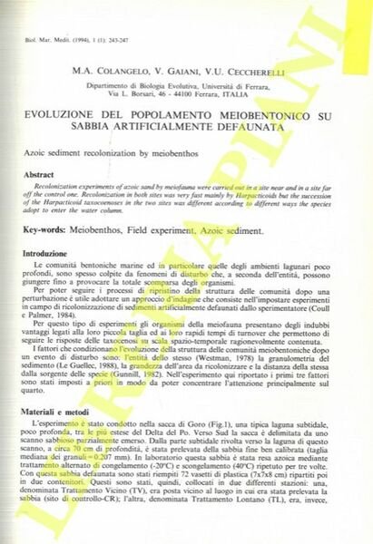 Evoluzione del popolamento meiobentonico su sabbia artificialmente defaunata.