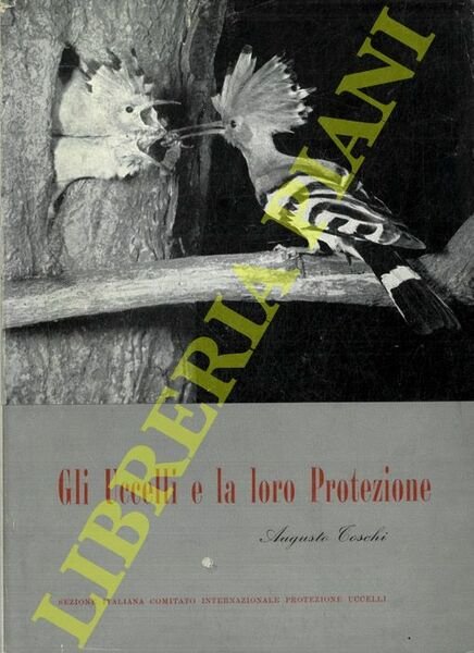 Gli uccelli e la loro protezione. | Immagine principale
