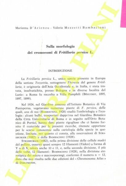 Sulla morfologia dei cromosomi di Fritillaria persica L.