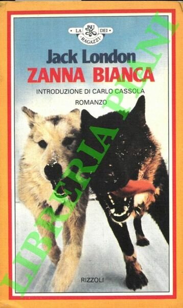 Zanna bianca.