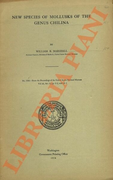 New species of mollusks of the genus Chilina.