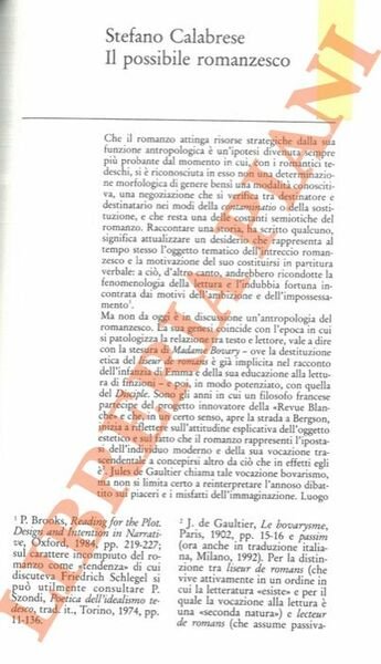 Il possibile romanzesco.