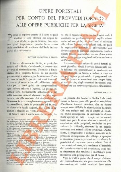 Opere forestali per conto del Provveditorato alle Opere Pubbliche per la Sicilia.