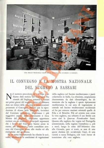 Il Convegno e la Mostra Nazionale del Sughero a Sassari.
