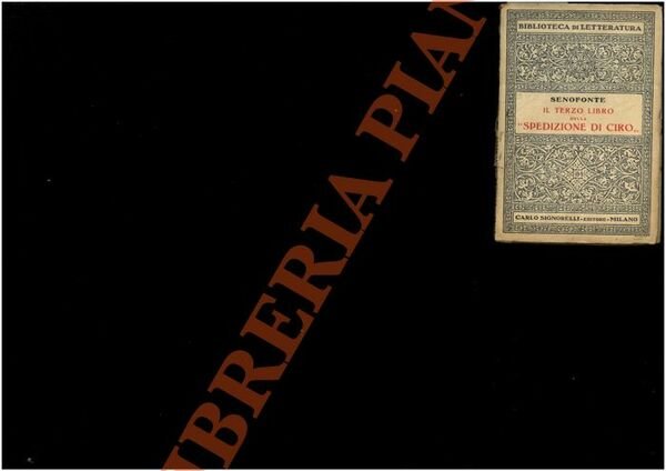 Il terzo libro della “Spedizione di Ciro”.