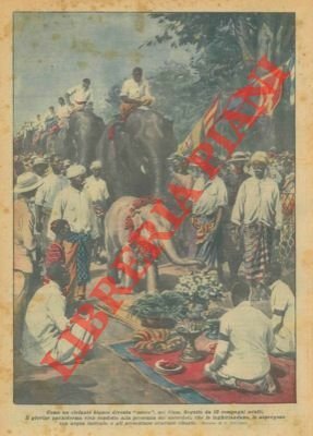 Come un elefante bianco diventa "sacro", nel Siam.