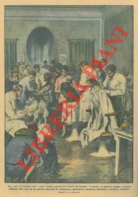 Una sala di toeletta per cani nel centro di Londra.