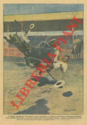 In Canada, ardimentosi cavalieri della prateria hanno dato il saggio …