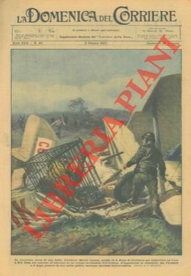 Un aviatore che portava un leone a New York fu … | Immagine Gallery 1