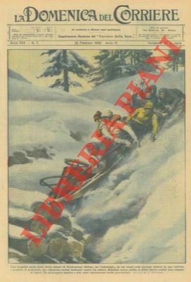 In Stiria, un "bobsleigh" urta in una cunetta perdendo il …