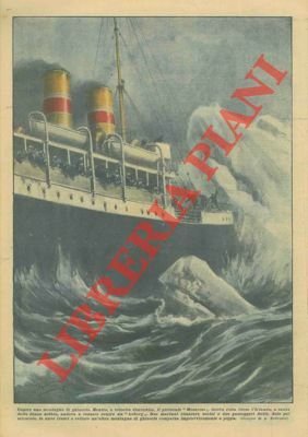 Un piroscafo, a causa della densa nebbia, va a cozzare …