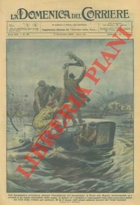 A Ponte alle Rogaie (Grosseto) i passeggeri di un'auto sono …