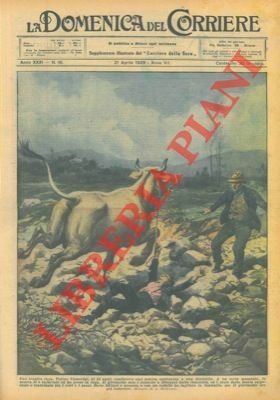 Mentre un ragazzo di 14 anni conduceva una mucca assicurata …