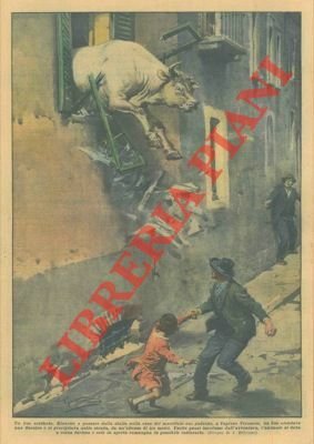 Riuscito a passare dalla stalla nella casa del macellaio suo …