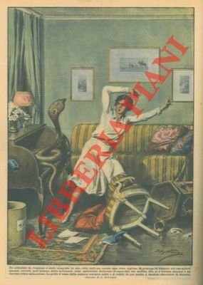 Attentato contro una ricca inglese: la signora si trovava nel …