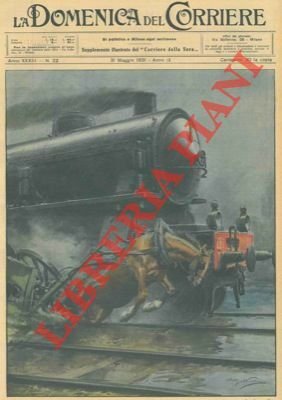 Sulla linea ferroviaria Casale-Mortara il treno in corsa ha investito … | Immagine Gallery 1