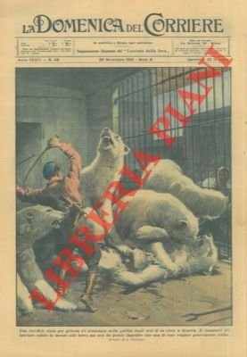 Rissa per gelosia scatenatasi nella gabbia degli orsi in un …