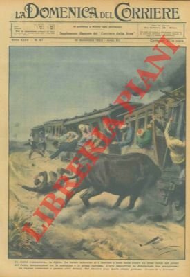 Un bufalo inferocito si scaglia contro un treno facendo ribaltare …