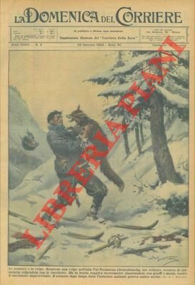 Sciatore viene sorpreso da una volpe, presso Domodossola, e solo …