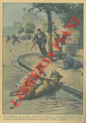 Emozionante corpo a corpo fra una domatrice ed una leonessa … | Immagine Gallery 1