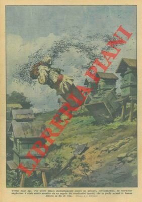 Per avere urtato distrattamente contro un alveare, rovesciandolo, un contadino …