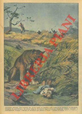 Leonessa rapisce un bambino dalla tenda di un cacciatore, fermandosi …