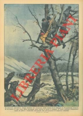 Cinque bambini di ritorno da scuola, sorpresi da un branco …