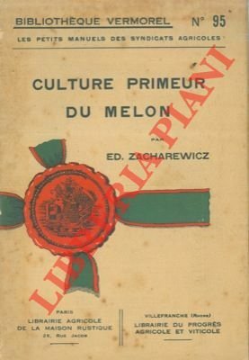 Culture primeur du melon.