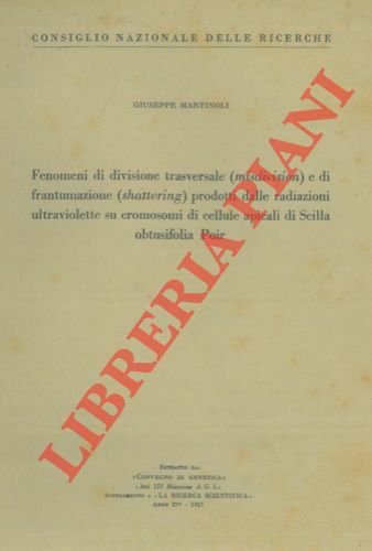 Fenomeni di divisione trasversale (misdivision ) e di frantumazione (shattering …