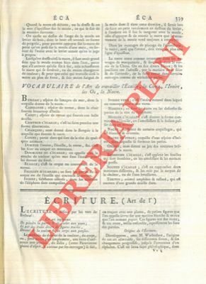 Art de l'écriture.