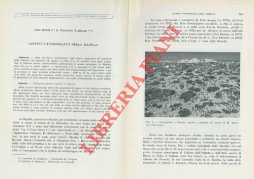 Aspetti fitogeografici della Majella.