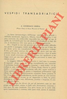 Vespidi transadriatici.