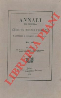 Reale Commissione di risanamento dell'Agro Romano. Relazione.