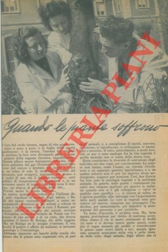 Quando le piante soffrono. | Immagine principale