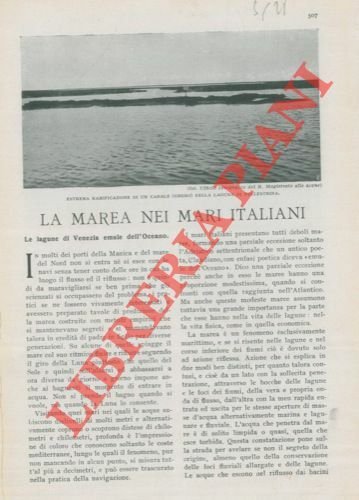 La marea nei mari italiani. | Immagine principale