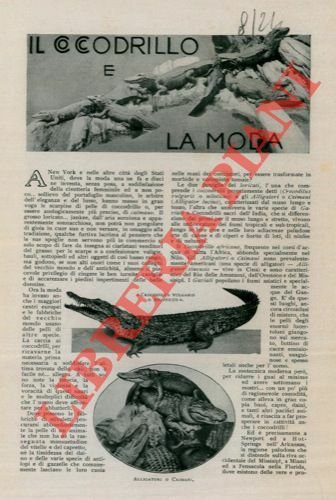 Il coccodrillo e la moda.