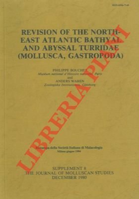 Revision of the Northeast Atlantic bathyal and abyssal Turridae (Mollusca, …