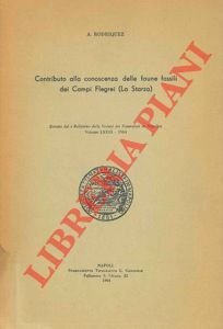Contributo alla conoscenza delle faune fossili dei Campi Flegrei (La Starza).