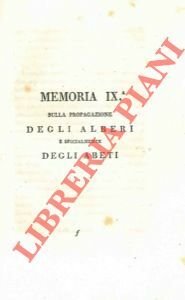Sulla propagazione degli alberi e specialmente degli abeti.