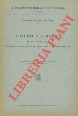 L'olmo siberiano (Ulmus pumila L.) sua importanza nella difesa da …