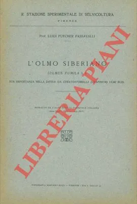 L'olmo siberiano (Ulmus pumila L.) sua importanza nella difesa da …