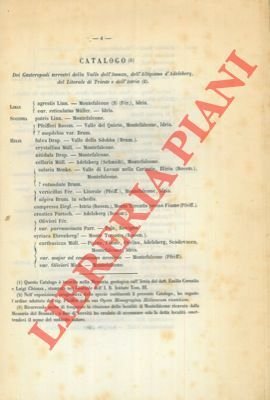 Catalogo dei gasteropodi terrestri della Valle d' Isonzo, dell' Altipiano d' Adelsberg, del Litorale di Trieste e dell' Istria.