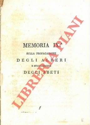 Sulla propagazione degli alberi e specialmente degli abeti.