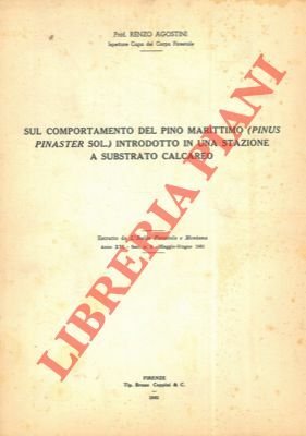 Sul comportamento del pino marittimo (Pinus pinaster Sol.) introdotto in …