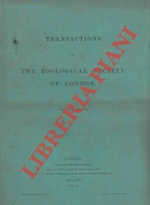 On the anatomy and systematic position of a gigantic earthworm … | Immagine principale