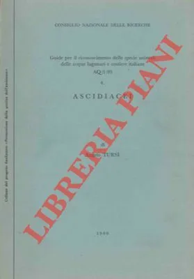 Ascidiacei.