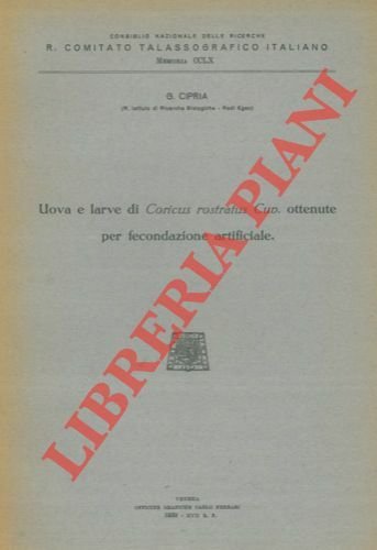 Uova e larve di Coricus rostratus Cuv. ottenute per fecondazione …